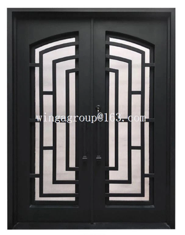 French Custom Double Entry Wrought Iron Door